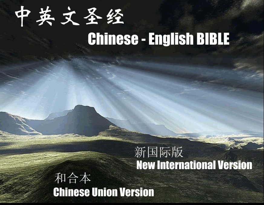 中英文聖經·新國際版