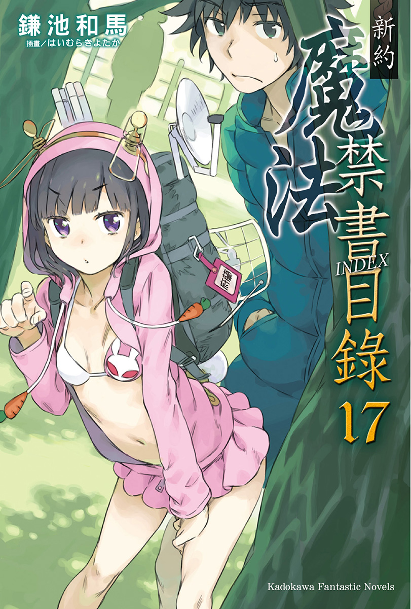 新约 魔法禁书目录 17