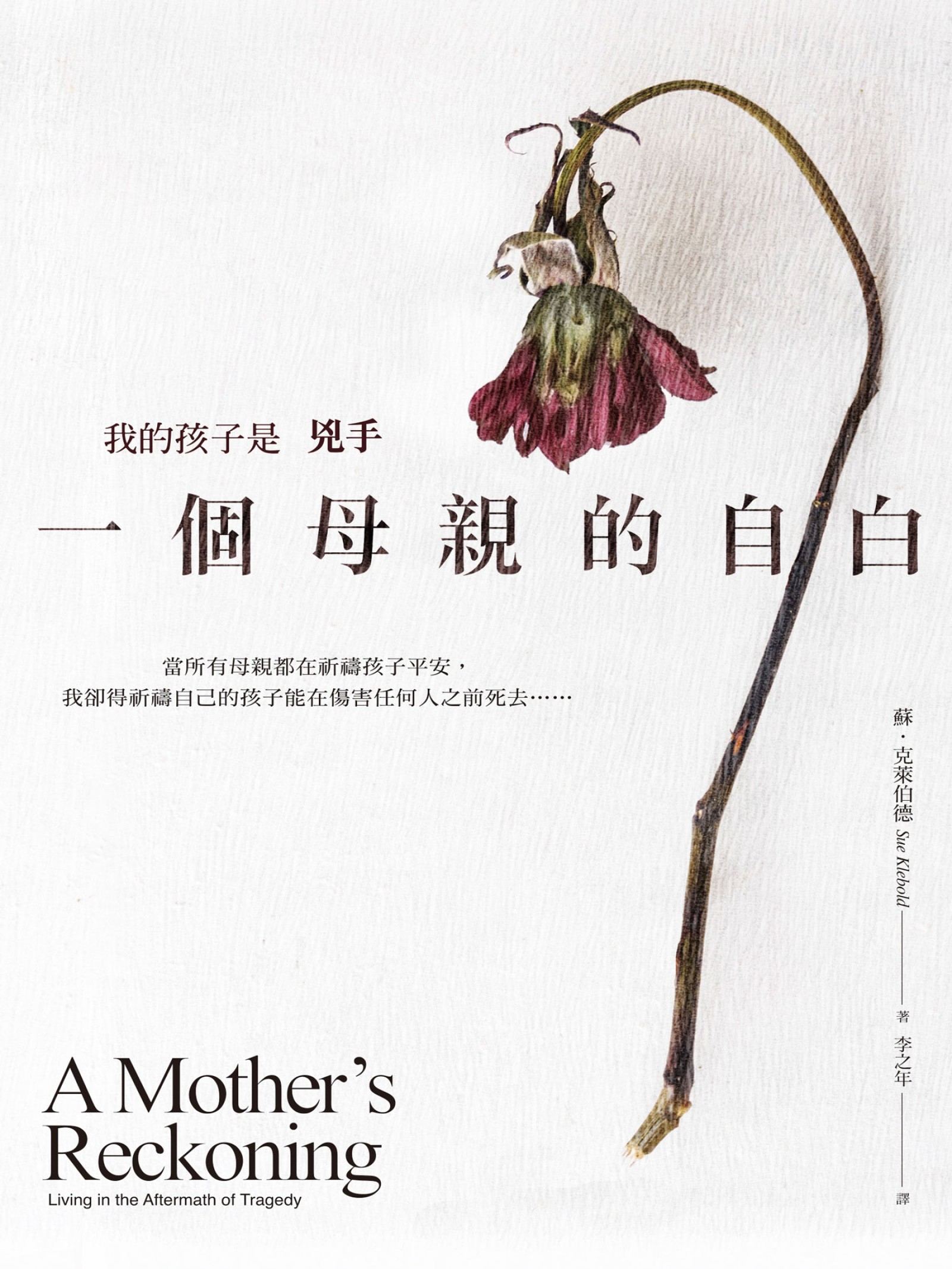我的孩子是兇手：一個母親的自白