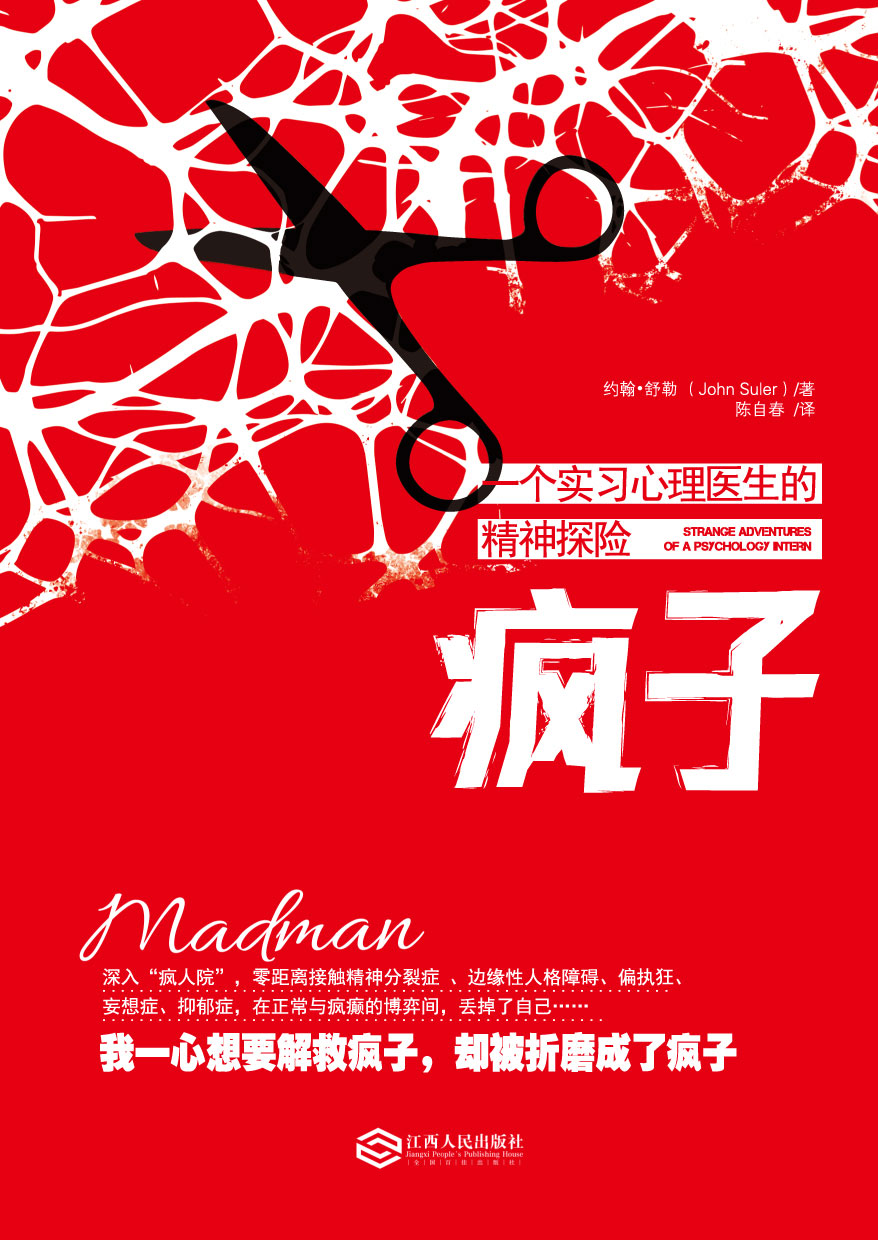 疯子:一个实习心理医生的精神探险