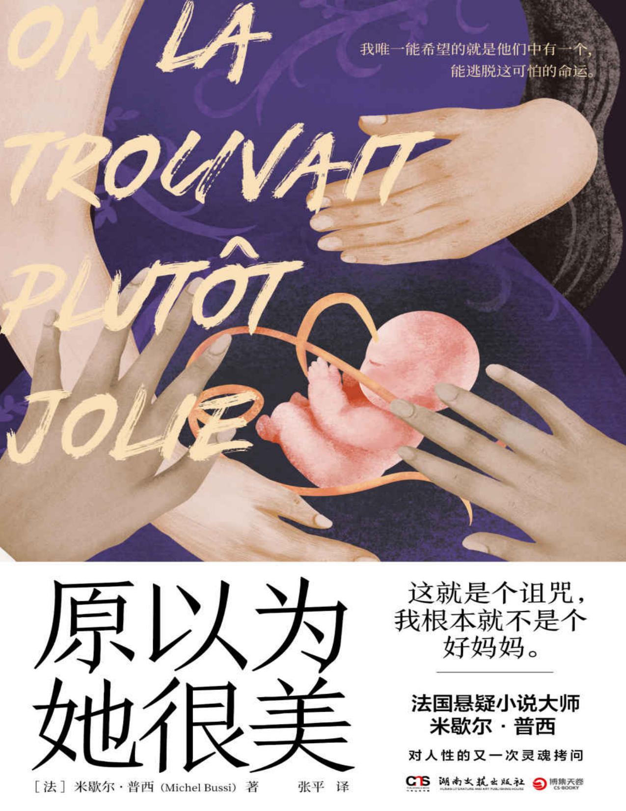 家庭与谋杀：原以为她很美（小心！千万不要被书名骗了！法国TOP3作家米歇尔·普西全新力作，法国年度热销书！社会派推理+叙述性诡计，从非洲难民营开始的犯罪故事）