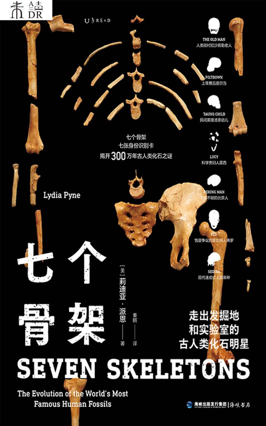 七个骨架：走出发掘地和实验室的古人类化石明星