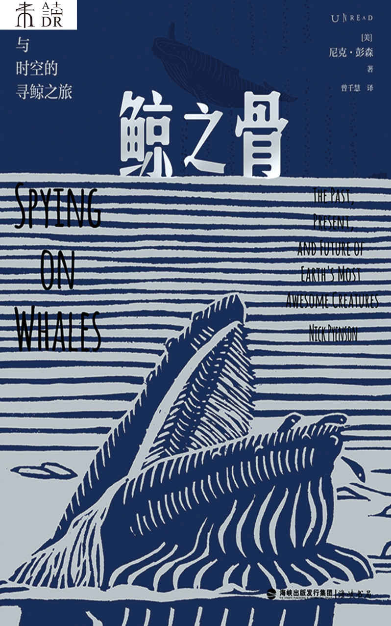 鲸之骨