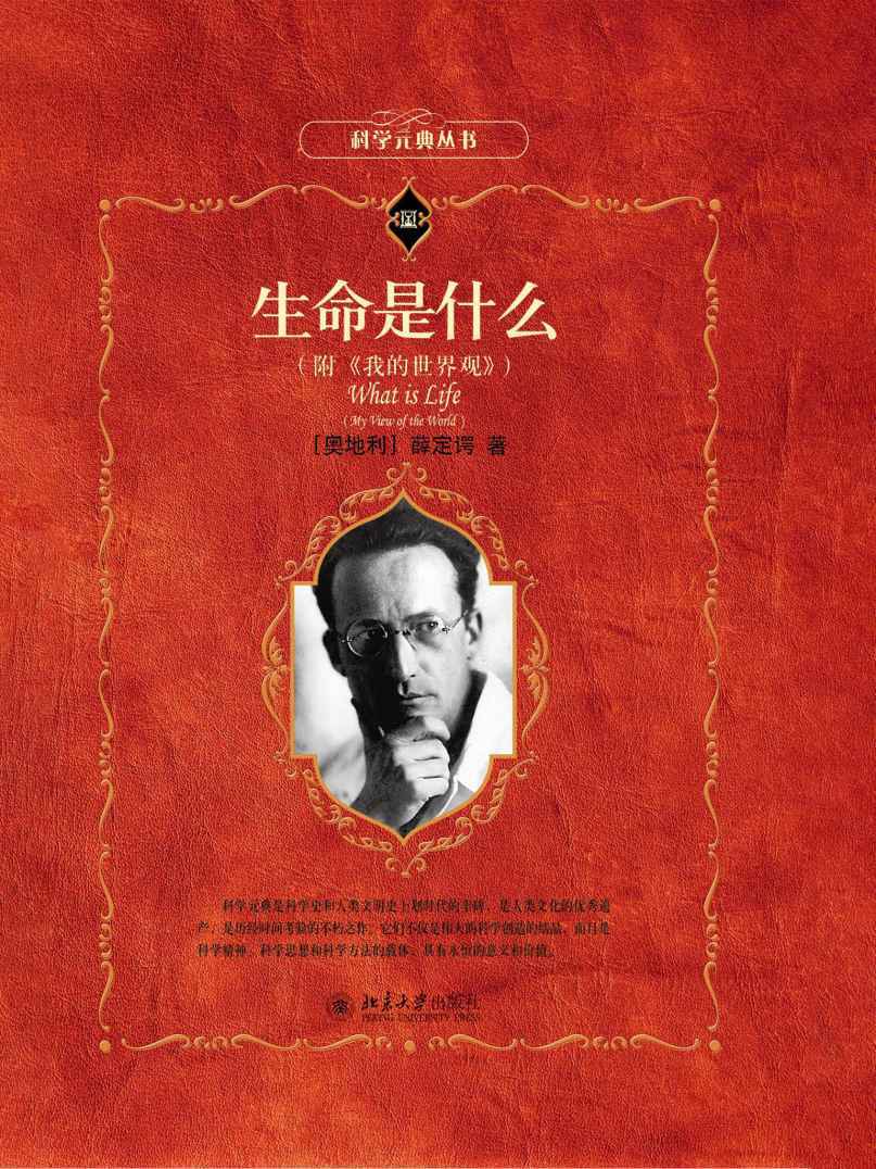 生命是什么(附《我的世界观》)