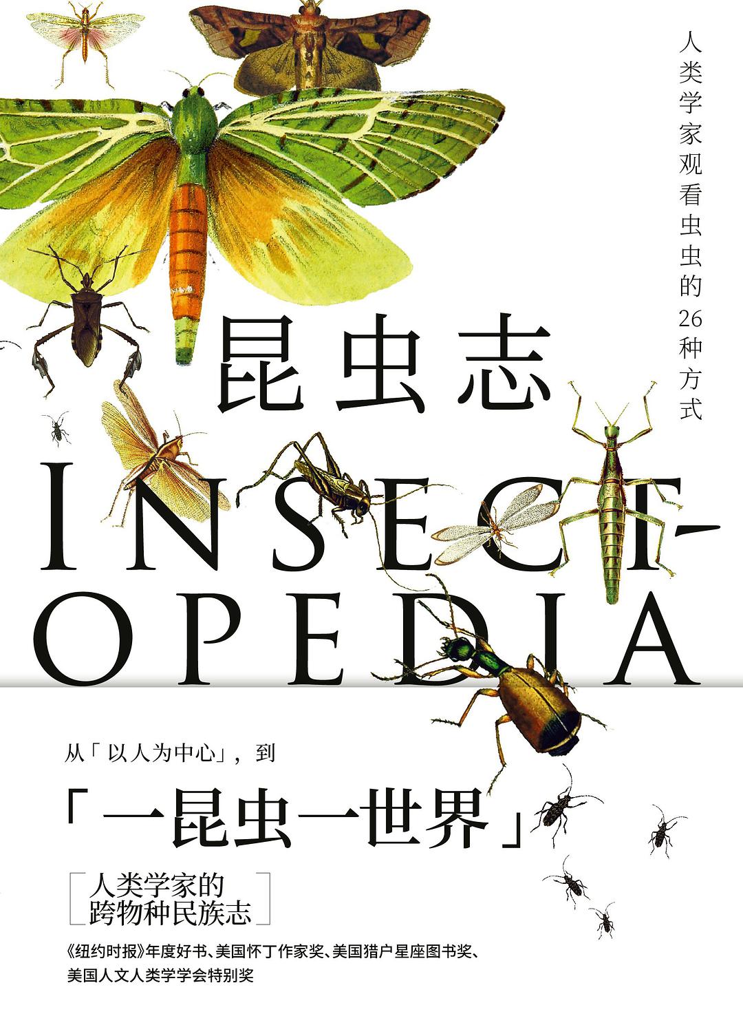 昆虫志：人类学家观看虫虫的26种方式
