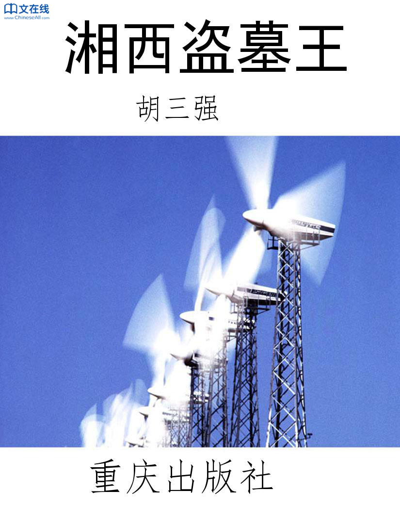 湘西盗墓王