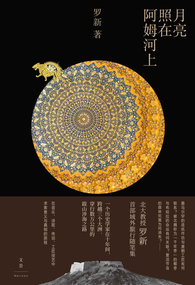 月亮照在阿姆河上【北大历史教授罗新旅行随笔集。一个历史学家在十年间，跨越三个大洲、穿行数万公里的跋山涉海之路；在音乐、诗歌、传说、工匠技艺中求索意义与真相的旅程】