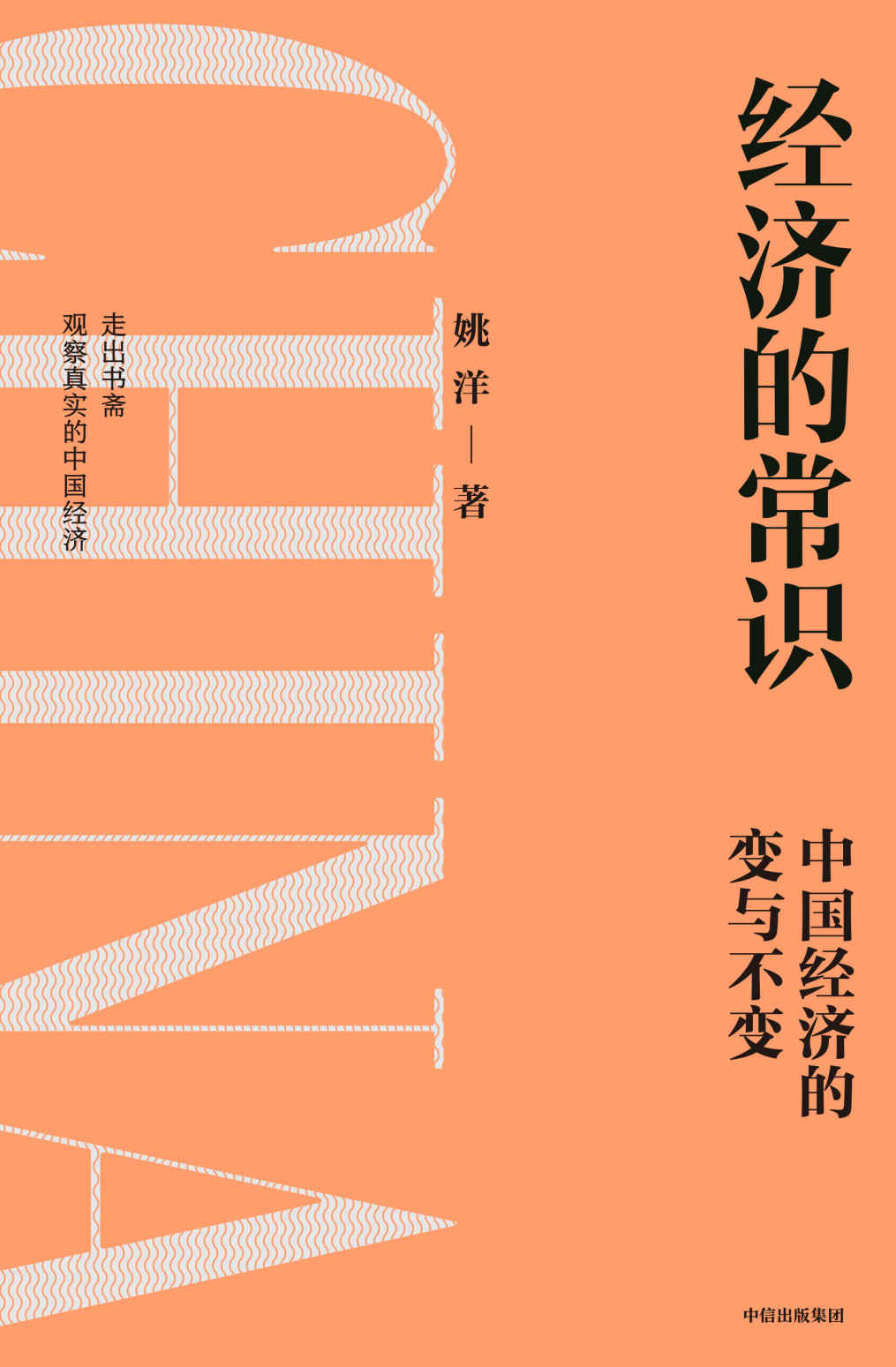 经济的常识（分析中国经济的挑战与发展，读懂政策逻辑，把握未来趋势）