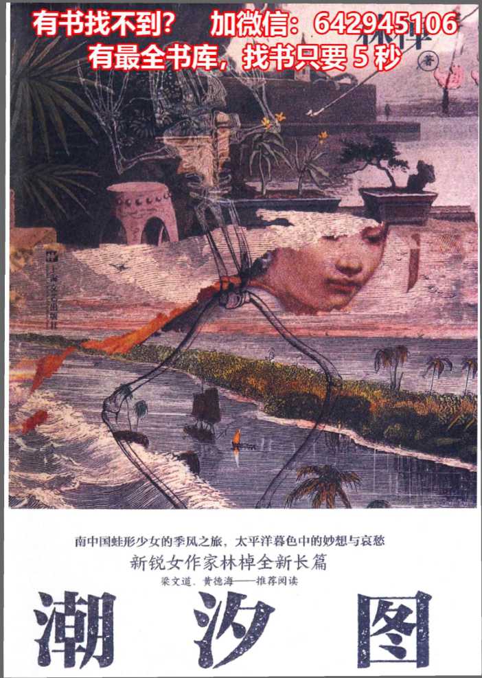《潮汐图》林棹