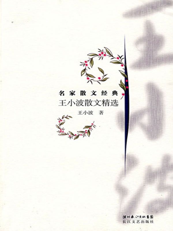 王小波散文精选