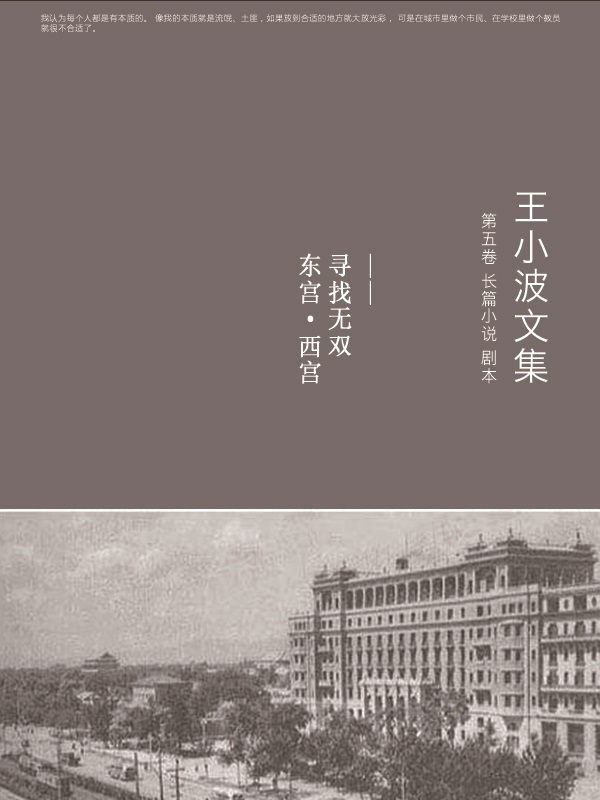 王小波文集.第五卷
