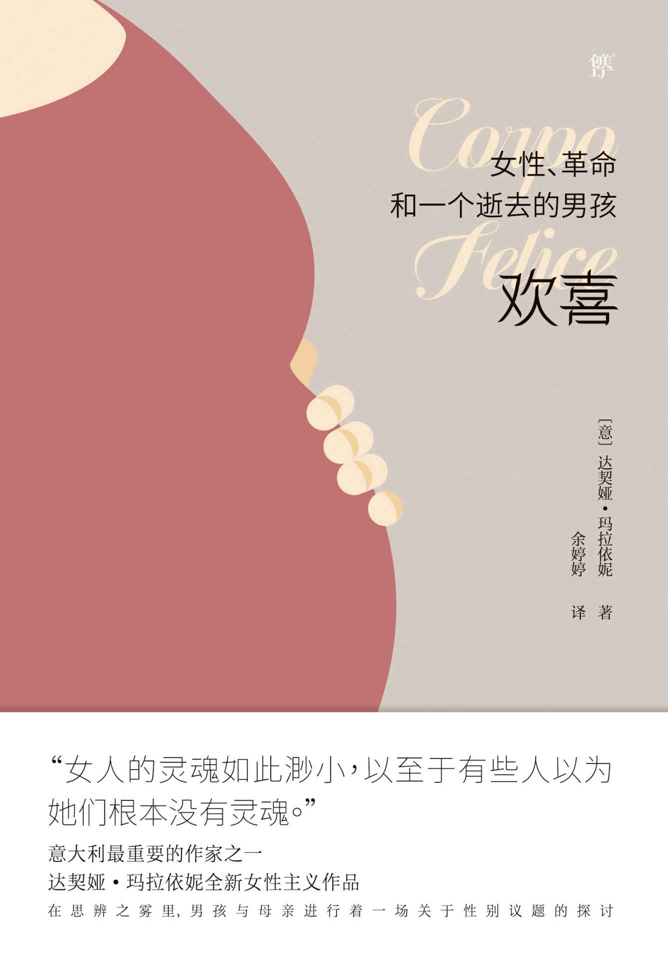 欢喜：女性、革命和一个逝去的男孩（诺贝尔文学奖热门提名作家女性主义作品）