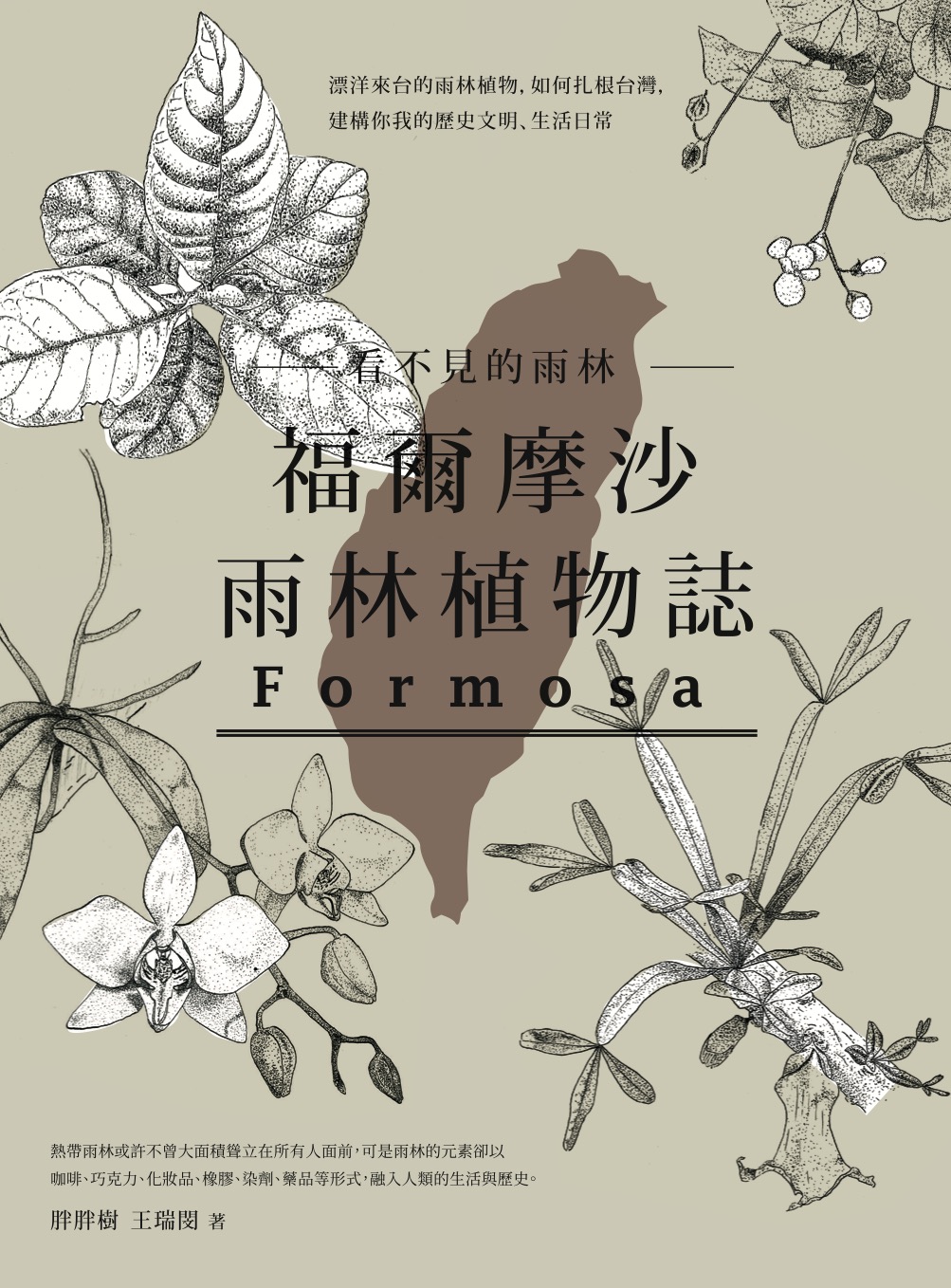 看不見的雨林—福爾摩沙雨林植物誌：漂洋來台的雨林植物，如何扎根台灣，建構你我的歷史文明、生活日常