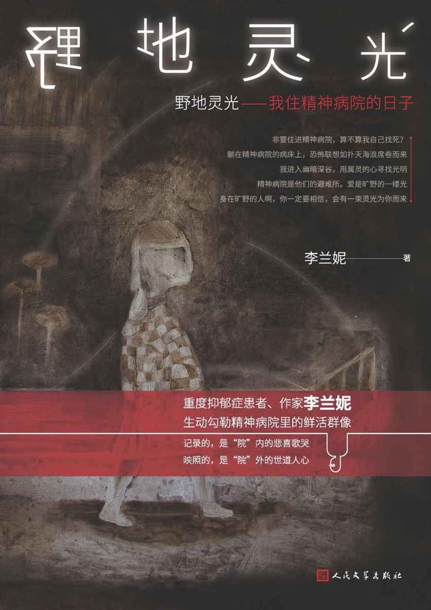 野地灵光——我住精神病院的日子（用生命书写的作品；破除误读与偏见，生动勾勒精神病院里的鲜活群像；人民文学出版社倾力打造）