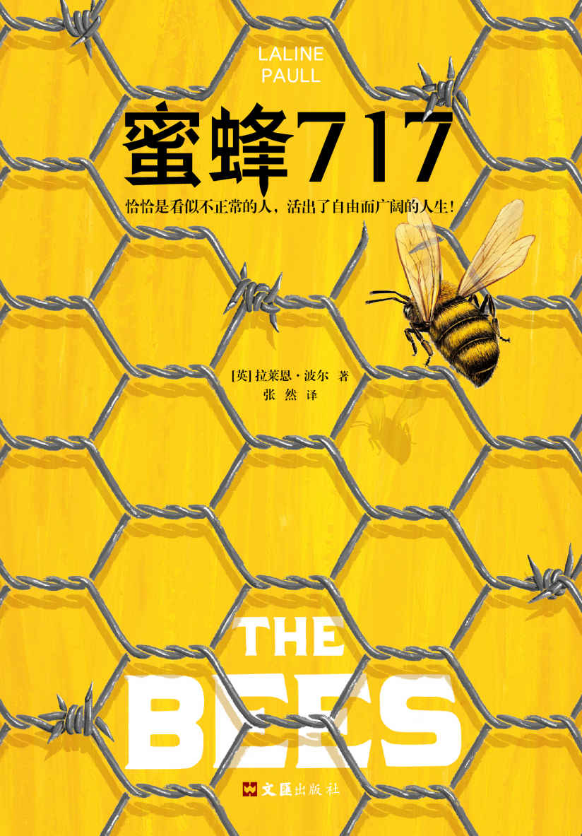 蜜蜂717（《使女的故事》作者盛赞推荐！恰恰是看似不正常的人，活出了自由而广阔的人生。）
