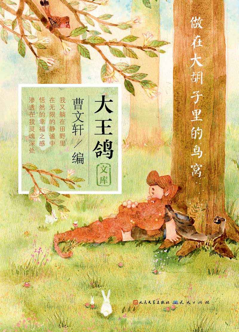 做在大胡子里的鸟窝 (曹文轩大王鸽文库)
