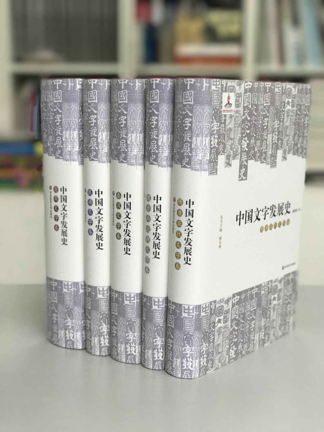 中国文字发展史套装（全5册）