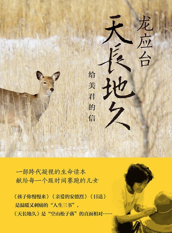 天长地久：给美君的信（龙应台2018全新力作）