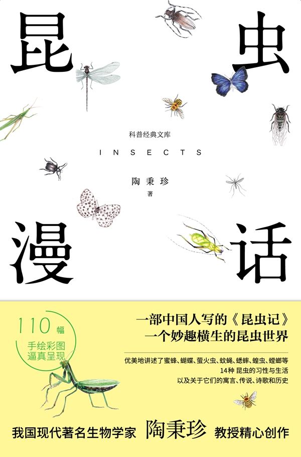 昆虫漫画