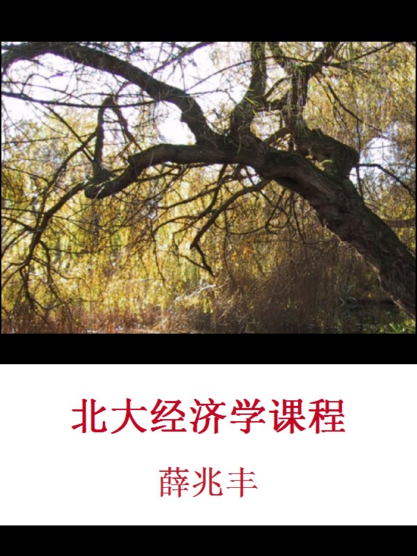 北大经济学课程