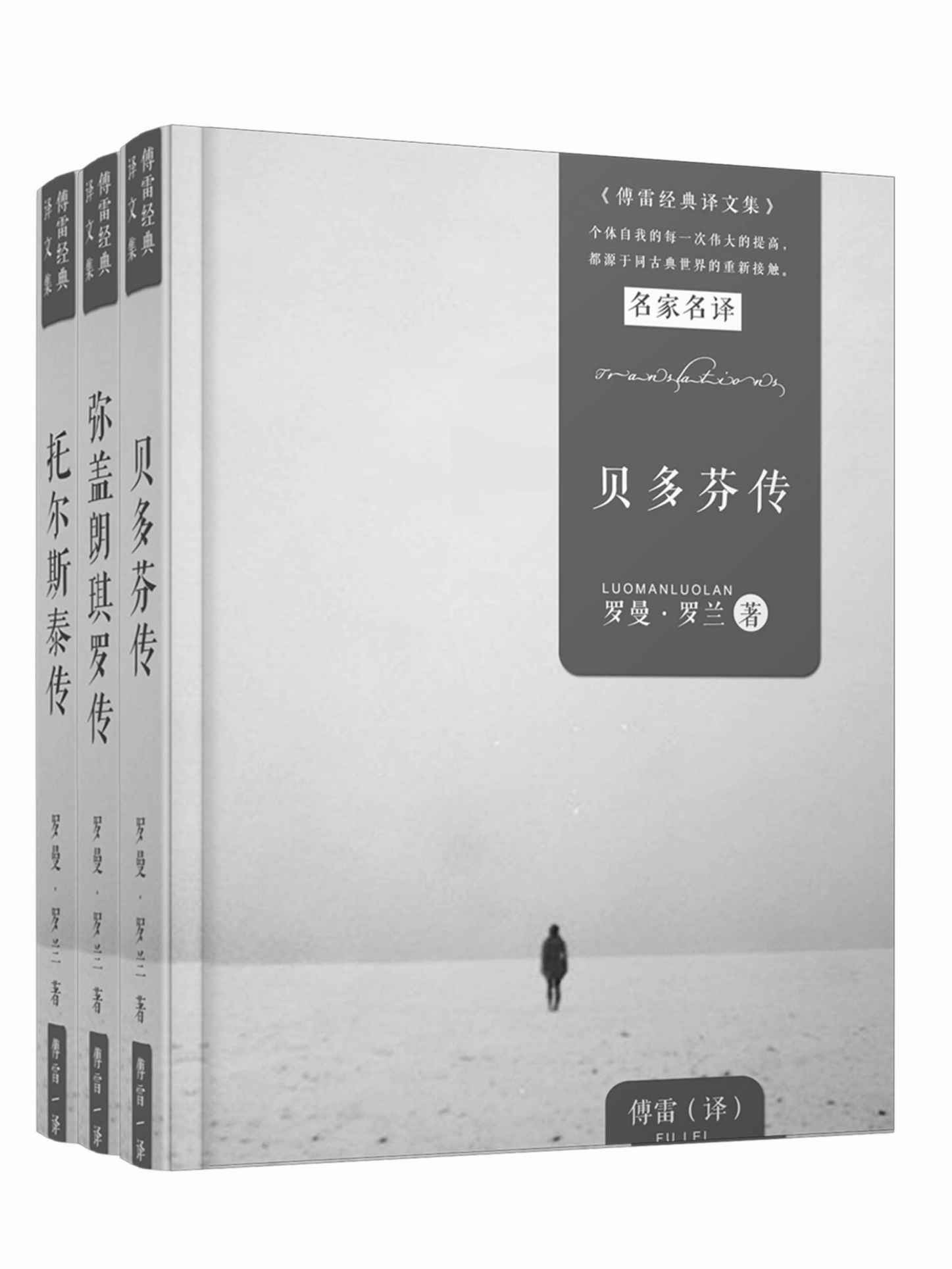 巨人三传（贝多芬传、弥盖朗琪罗传、托尔斯泰传）