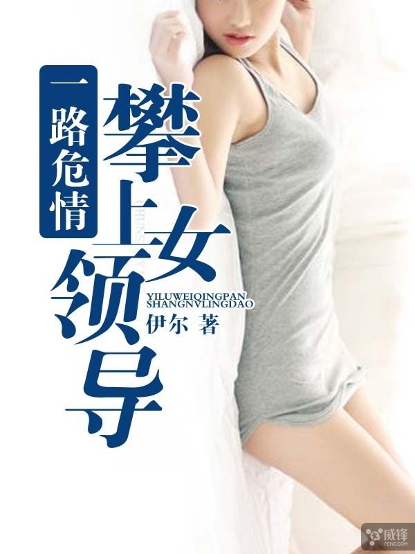 一路危情：攀上女领导 作者：伊尔
