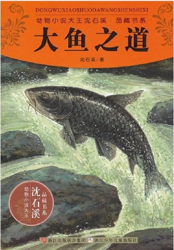 大鱼之道