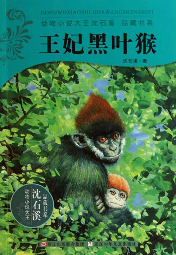 王妃黑叶猴