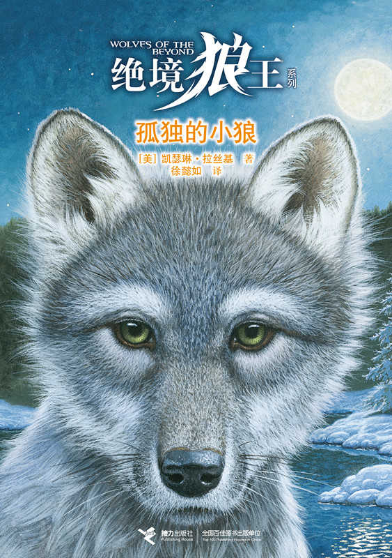 孤独的小狼
