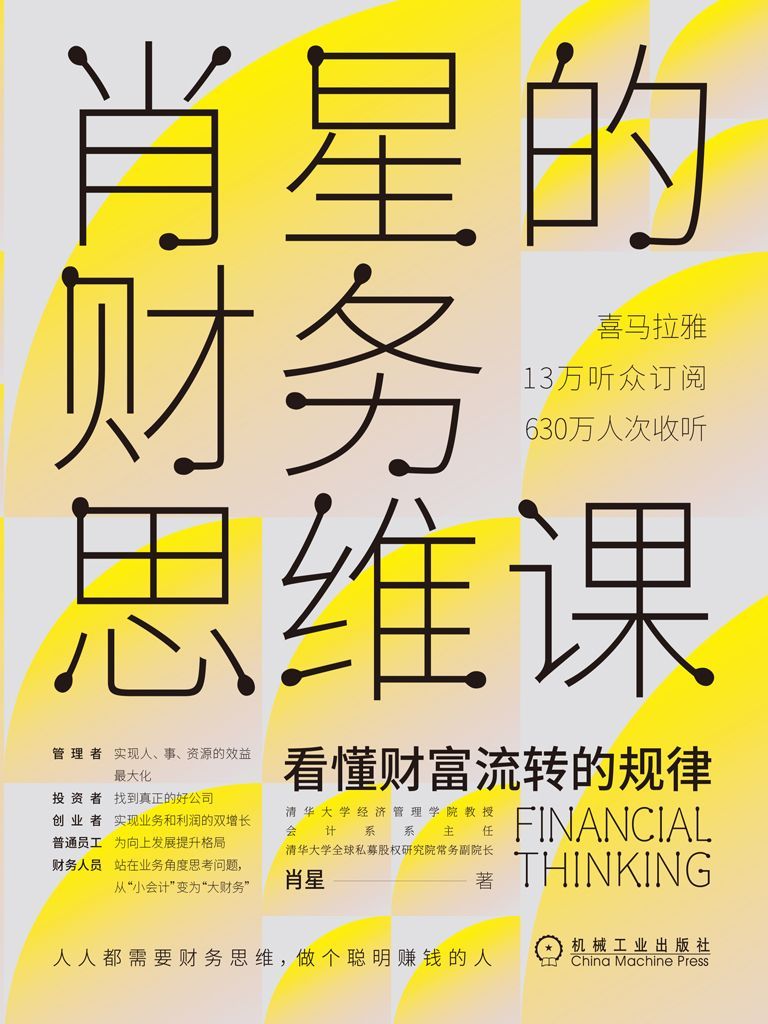肖星的财务思维课：看懂财富流转的规律