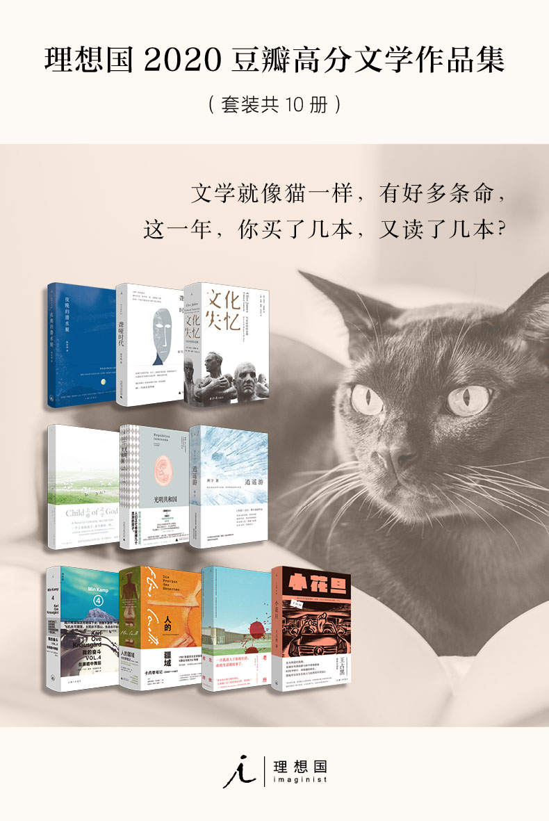 理想国2020豆瓣高分文学作品集（套装共10册）