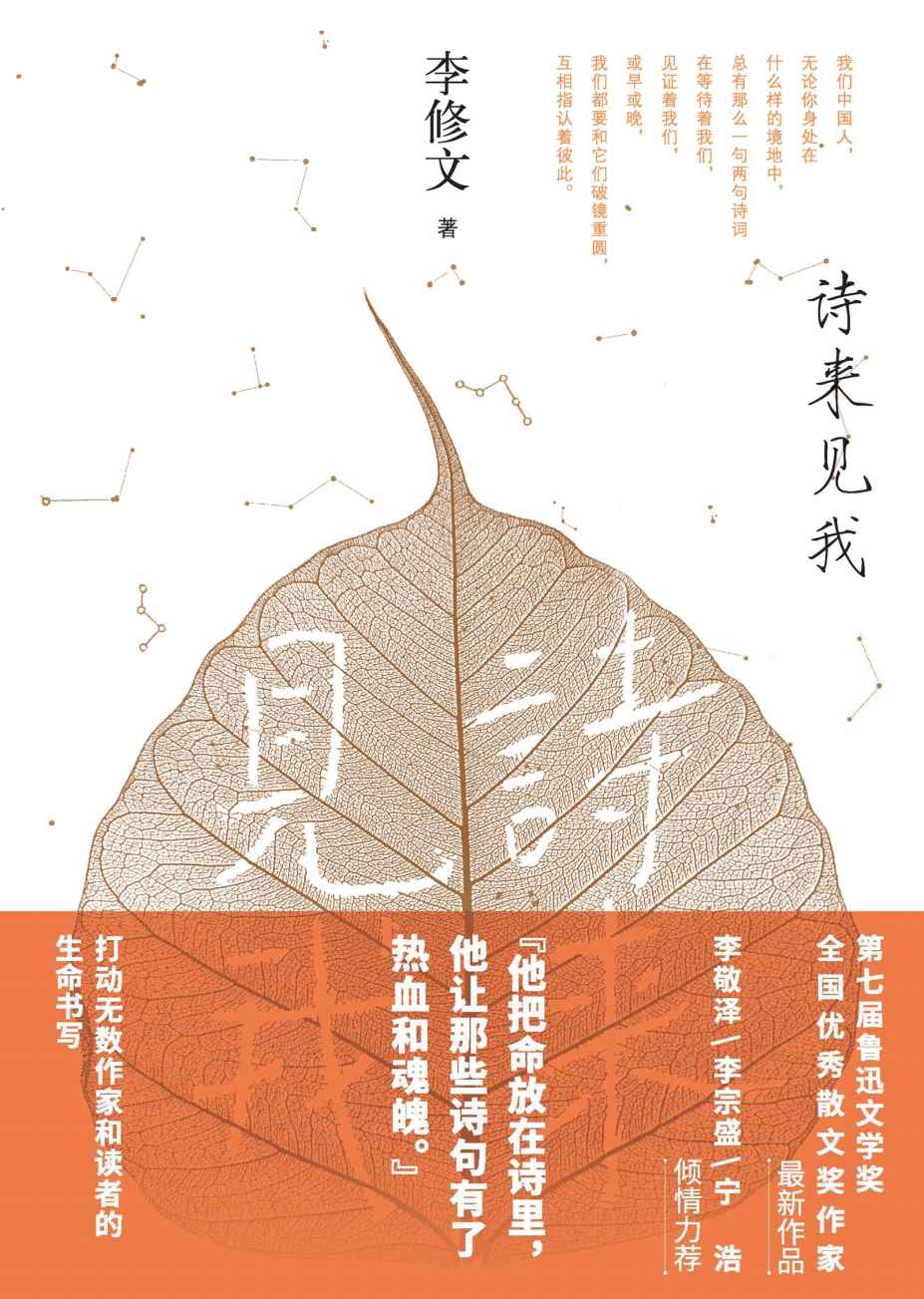 诗来见我（鲁迅文学奖得主李修文全新散文集；导演宁浩、李敬泽诚意推荐；通过古典诗词叙写人生际遇，通过古今对话见证自我完成）