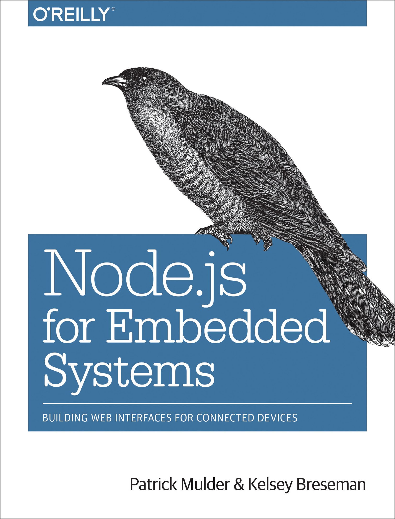 Node.js for Embedded Systems